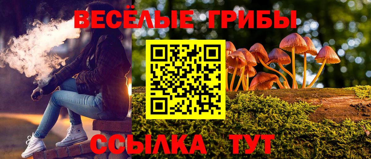Псилоцибиновые грибы мицелий Выборг