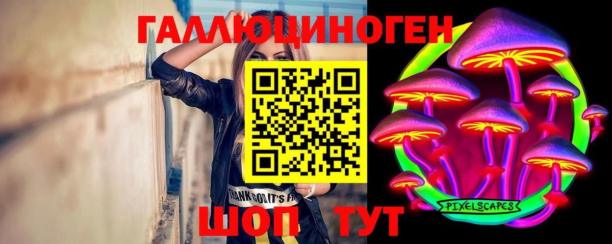 Галлюциногенные грибы Cubensis  Вход с VPN  Выборг 
